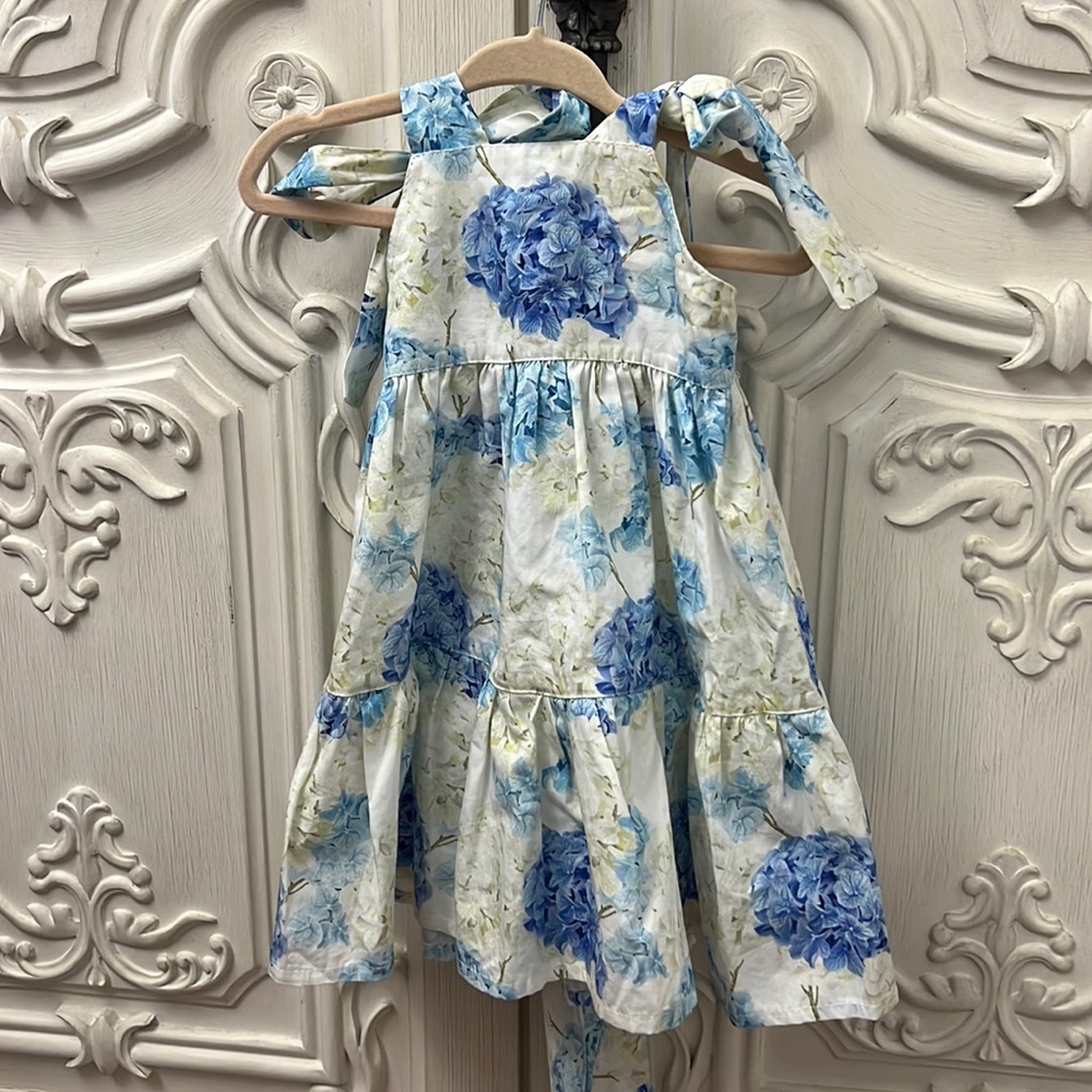 Phi clothing dress size 12 m